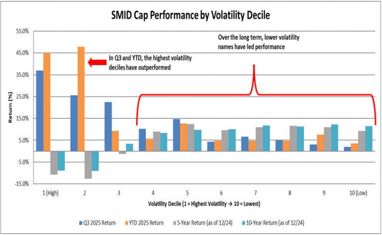 Volatility Service Graph High Volatility Stocks Driving SMID Cap Gains in 2025 | Investment ...